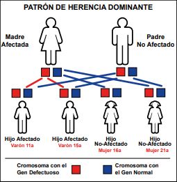 herencia dominante