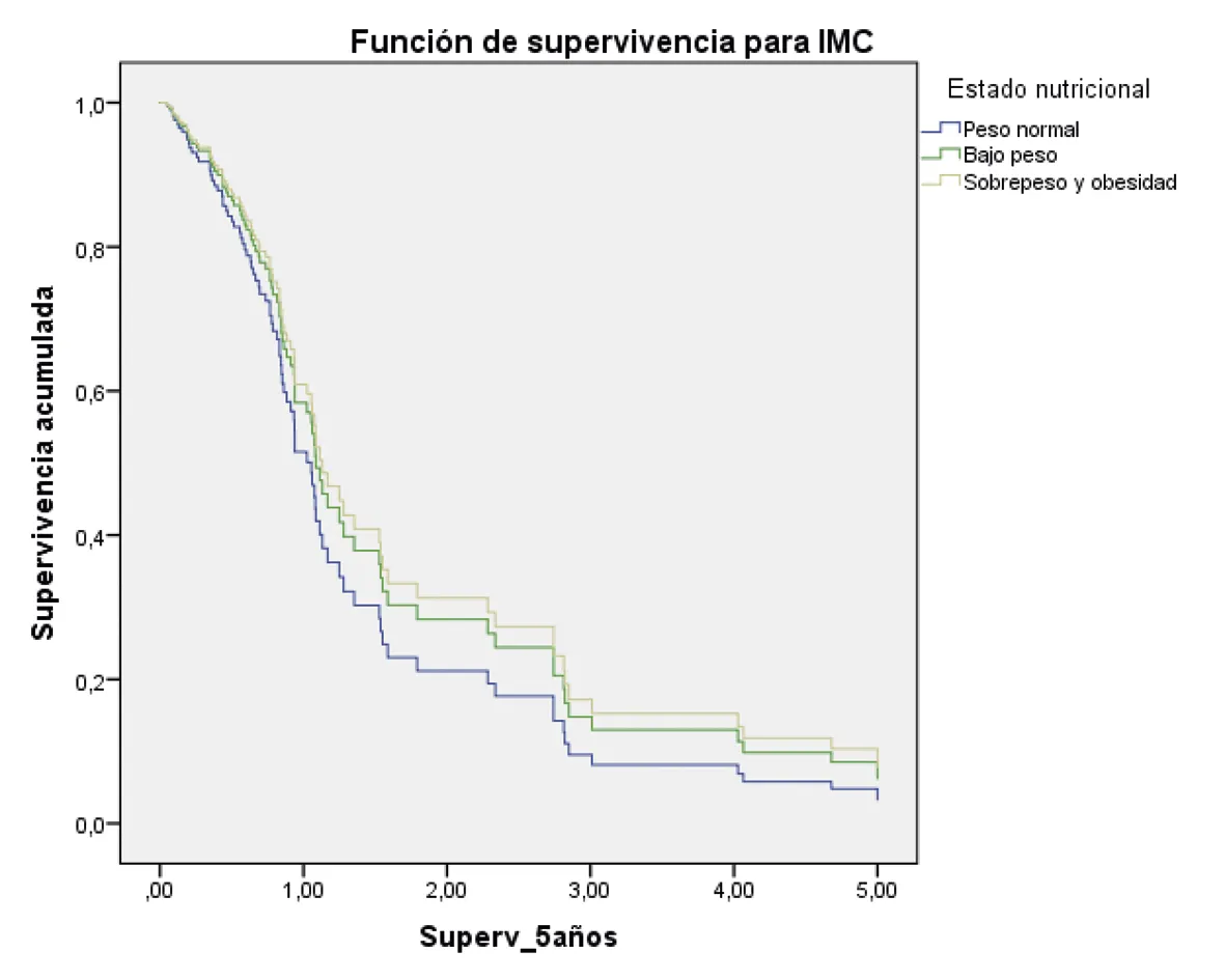 Análisis de supervivencia global a cinco años en pacientes con cáncer gástrico atendidos en la provincia de Loja-Ecuador