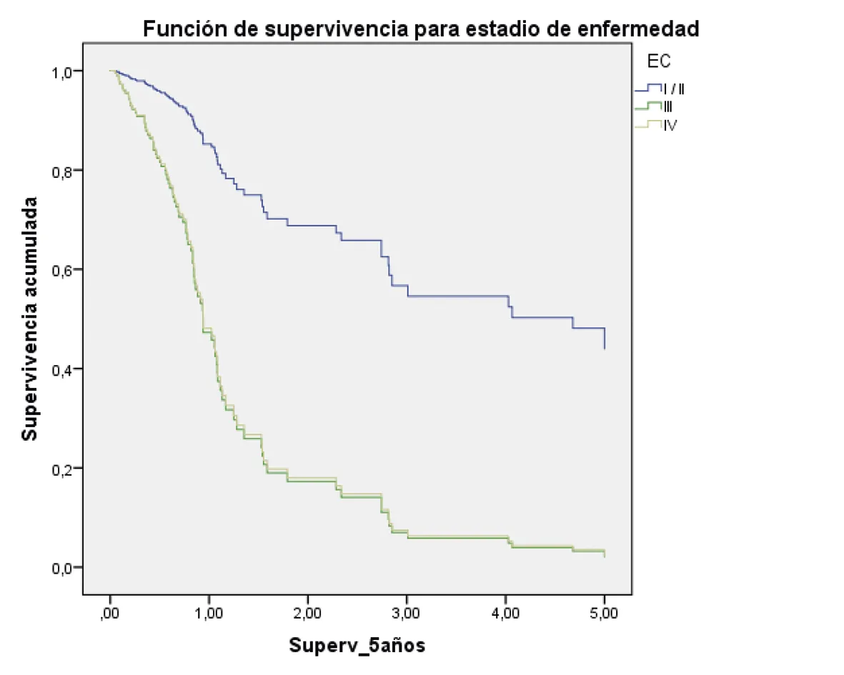 Análisis de supervivencia global a cinco años en pacientes con cáncer gástrico atendidos en la provincia de Loja-Ecuador