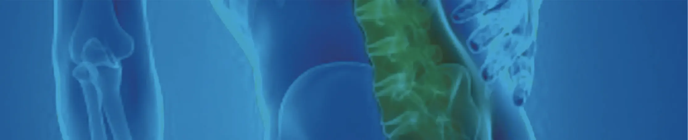 Impacto del ejercicio de la odontología en la salud musculoesquelética: un seguimiento longitudinal en odontólogos de Loja (2007-2025) 1 Impacto del ejercicio de la odontología en la salud musculoesquelética: un seguimiento longitudinal en odontólogos de Loja (2007-2025)