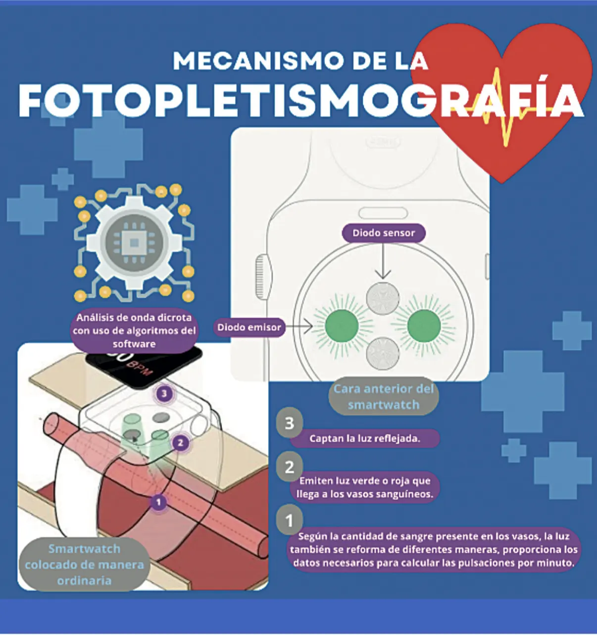 La fotopletismografía como método para el monitoreo de la presión arterial