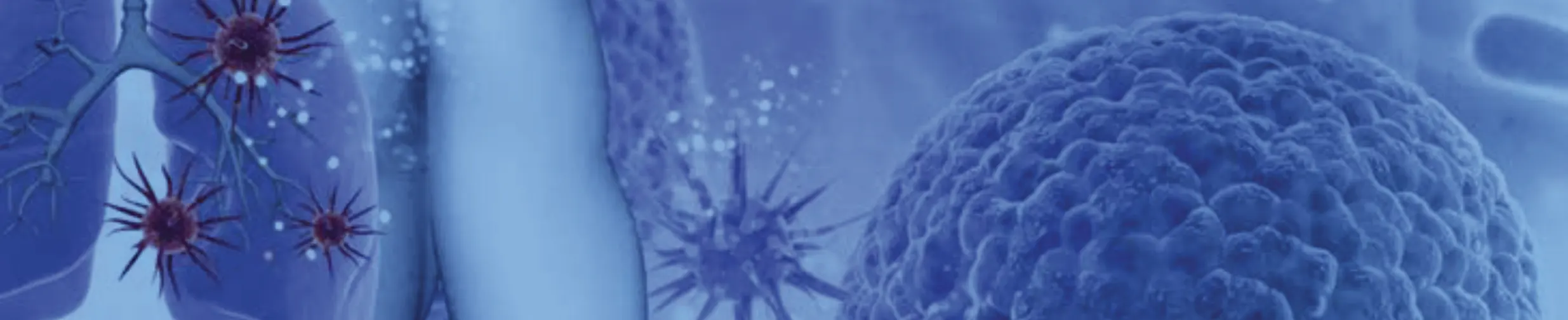 Aspergilosis pulmonar invasiva en un paciente inmunosuprimido no neutropénico. A propósito de un caso 1 aspergilosis pulmonar invasiva en un paciente inmunosuprimido no neutropenico